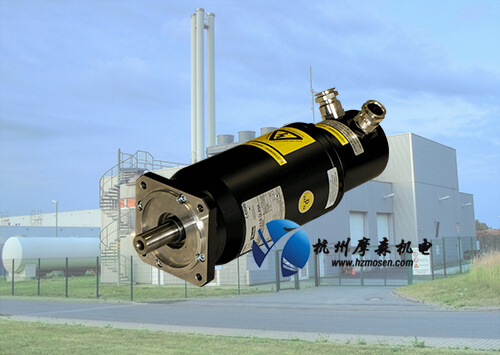 防爆伺服電機(jī).jpg